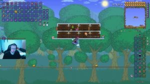 КАК ЗАСЕЛИТЬ ВСЕХ СЛИЗНЕЙ И ПОЛУЧИТЬ ДОСТИЖЕНИЕ В ИГРЕ TERRARIA? #2024 #terraria #террария #как