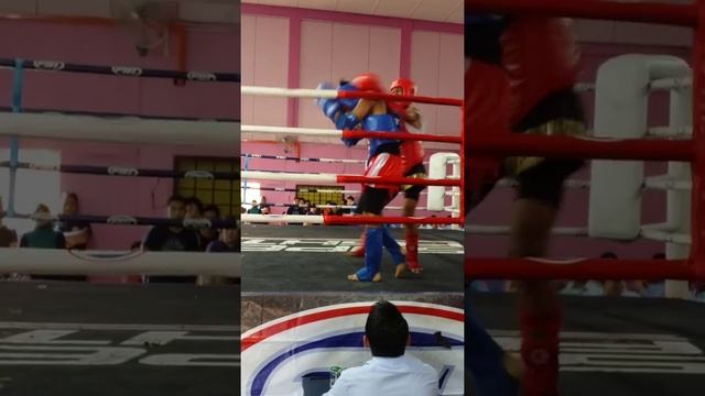 Tiger Amri muay thai смотреть онлайн