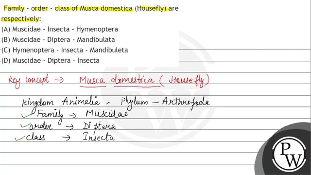 Family - order - class of Musca domestica (Housefly) are respectively:
(A) Muscidae - Insecta - ... смотреть онлайн