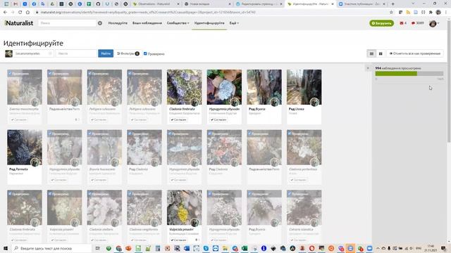 Инструкция для экспертов по ревизии наблюдений грибов и миксомицетов на iNaturalist в границах С З смотреть онлайн