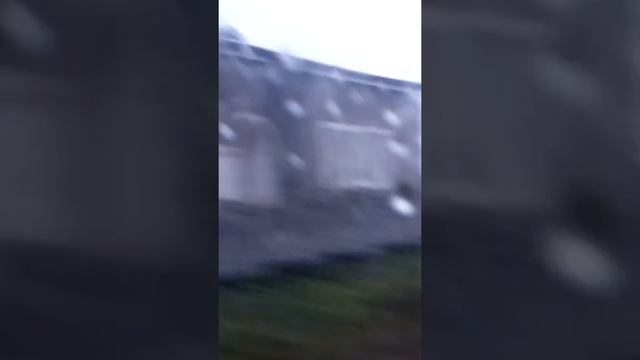 Я їду по гриби