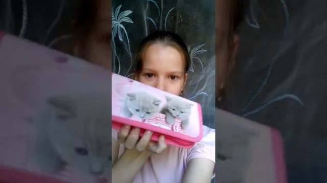 ПоКуПкИ! смотреть онлайн