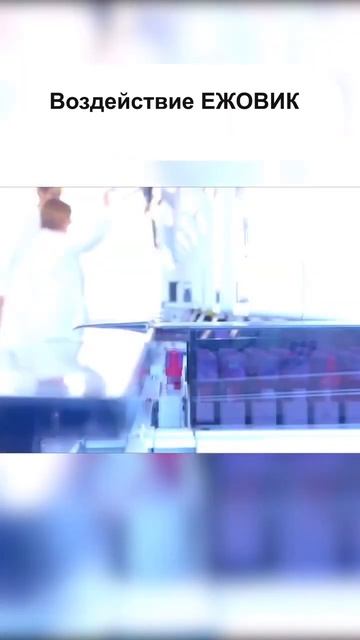 Медицинское значение ежовика гребенчатого   #Мухоморы#Микродозинг#Shorts#Епифанцев