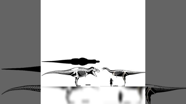 Tyrannosaurus Rex And Bahariasaurus Size Comparison смотреть онлайн