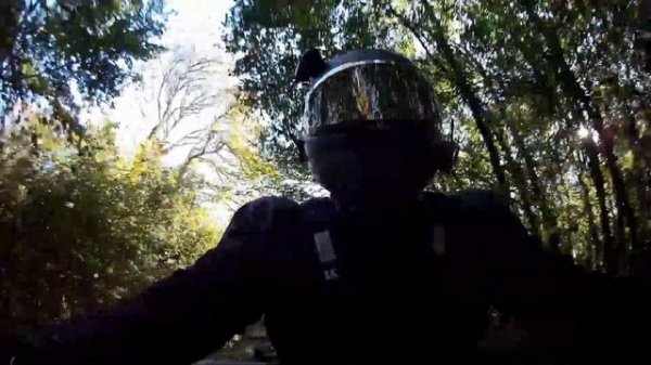 BMW Motorrad R1200RS R1250 engine comparisson