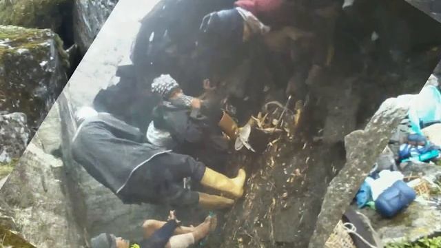 Yarshagumba (Ophiocordyceps sinensis) collection at Sankhuwa seer (यार्सा गुम्बा संकलन) смотреть онлайн