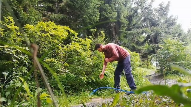 Şiddetli Yağmur Ve Sisli Havada Yalnız Başına Çadır Kampı | Şavşat Yavuz Köyü !