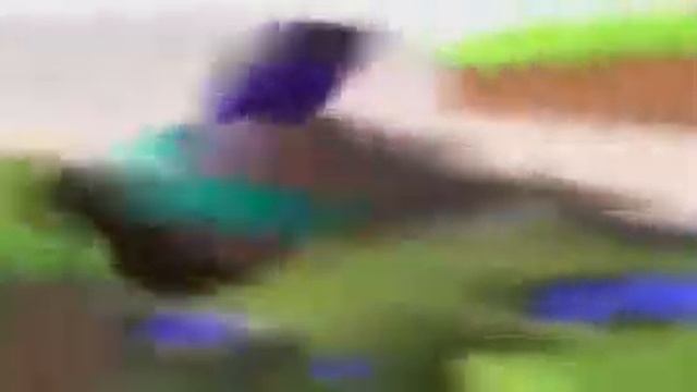 СТИВ ПАДАЕТ. ЖМЫХ ЭФФЕКТ. #shorts