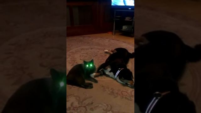 Это тоже любовь смотреть онлайн