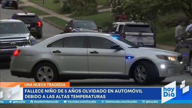 Muere un niño de 5 años que fue olvidado en un auto | Noticias Telemundo смотреть онлайн