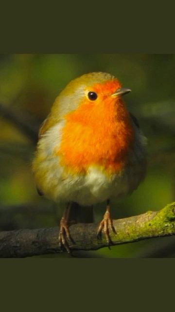 August 12, 2021 смотреть онлайн