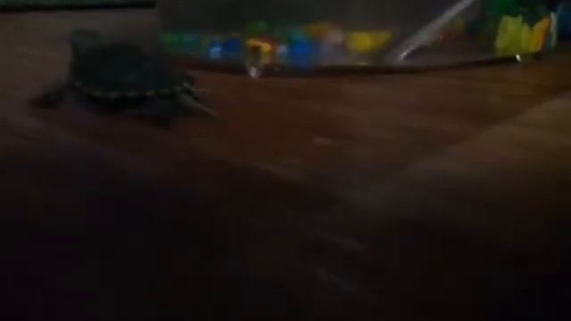 Чирипашки ниндя 2 лучыз друга смотреть онлайн