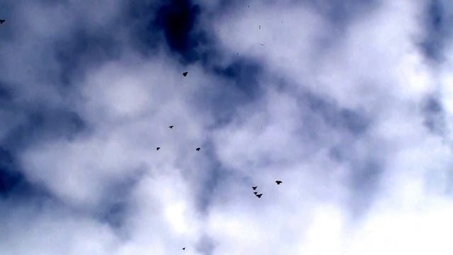 Мои первые подъемы смотреть онлайн
