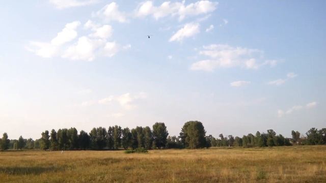 Mikado Logo 600 w/ MSH Brain Maiden Flight смотреть онлайн