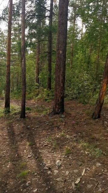 Милашка- боец с ДЦП