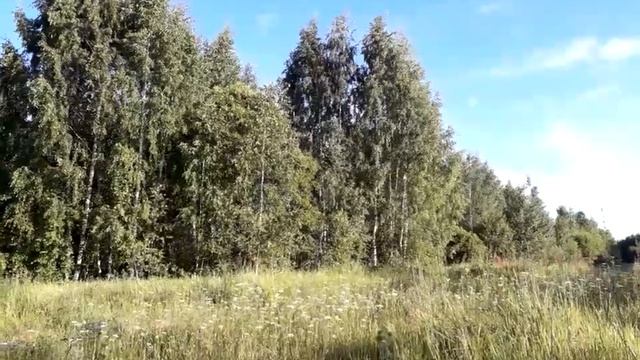 набрала грибов целую кучу!