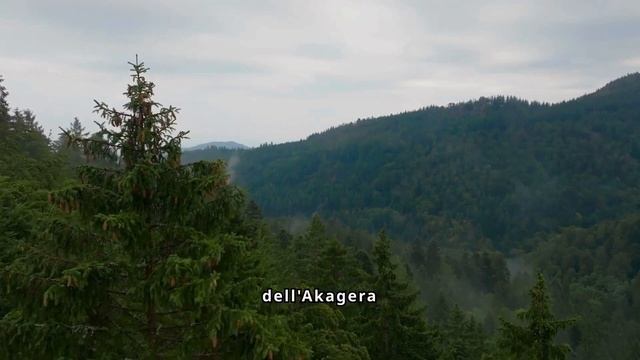 Rwanda un viaggio economico смотреть онлайн