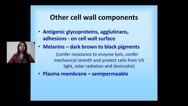 Fungi - Introduction, Character, Reproductive features