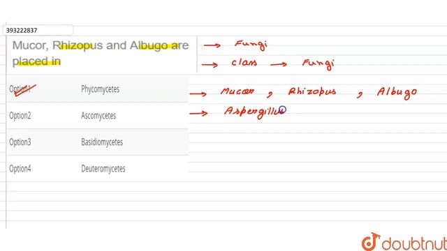 Mucor, Rhizopus and Albugo are placed in | CLASS 11 | BIOLOGICAL CLASSIFICATION | BIOLOGY | Dou... смотреть онлайн