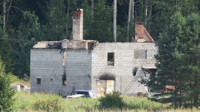 20210822 грибы и рыба в один день смотреть онлайн