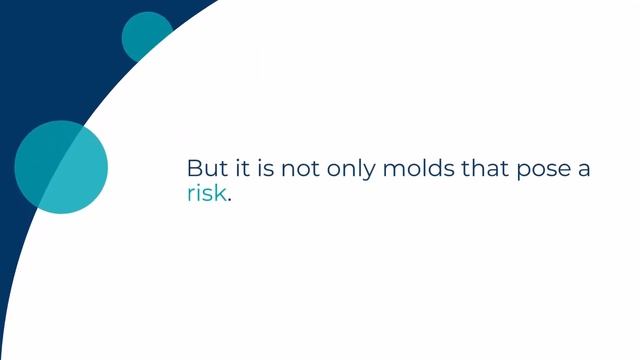 How to Prevent Mold and Bacteria Infections in Humid and Risky Environments смотреть онлайн