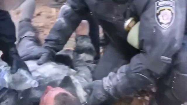 Беркут смотреть онлайн