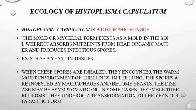 Histoplasma Capsulatum & Histoplasmosis | Fungus Parasite Of Humans | Histoplasma Lifecycle