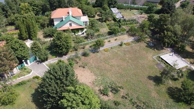 Літературно мистецькі Плюти