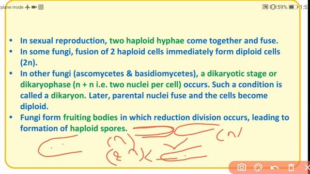 I PUC - BIOLOGY:CHAPTER -II/PART - 03/ BIOLOGICAL CLASSIFICATION/Ms. CHAITHRA R. смотреть онлайн