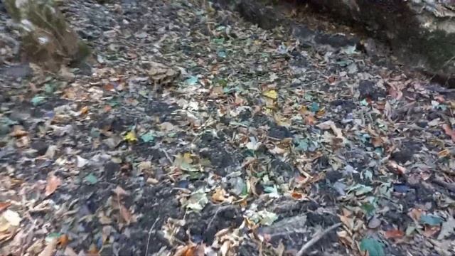 Опята 2023 смотреть онлайн