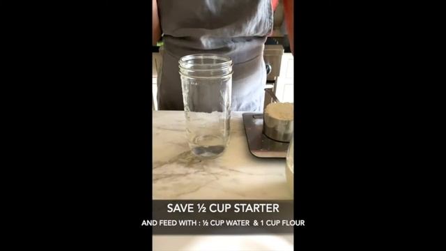 G9 Science Fair - Saccharomyces Cerevisiae - Athena Huang & Catherine Hung смотреть онлайн