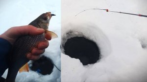 рыбалка 01.02.25 Белоярское водохранилище, Ривьера-пляж