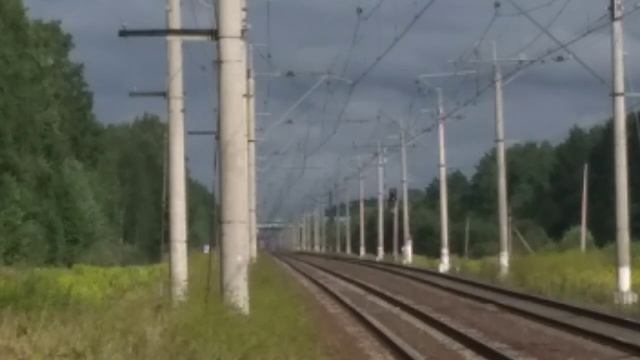 Сборник Высокоскоростных Поездов, на Московском и Волховстроевском направлениях. смотреть онлайн