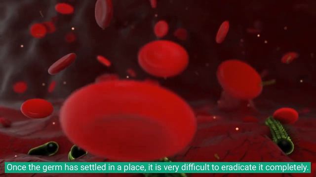 New Deadly Virus CANDIDA AURIS смотреть онлайн