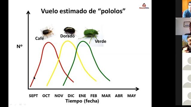 Conversatorio Producción Orgánica De Frutillas II Cirabiobio