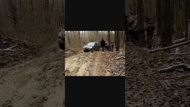 В лес по грибы! смотреть онлайн