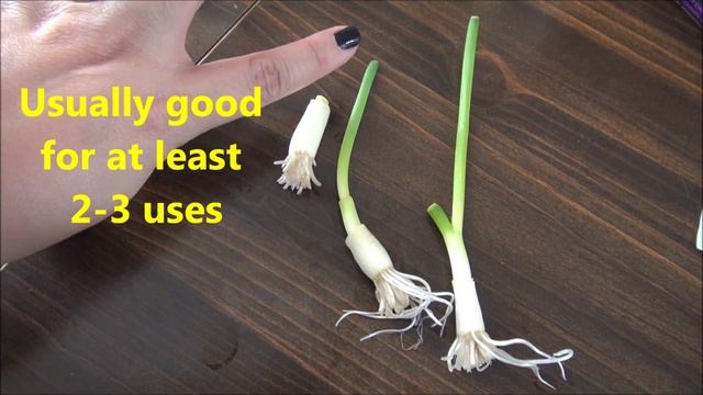 REGROW GREEN ONIONS without planting!!! смотреть онлайн