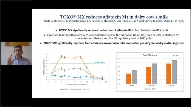Multi pronged aproach to Mycotoxin risk management in dairy cows | Selko Feed Additives смотреть онлайн