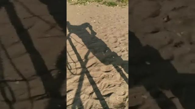 Trainer Mariupol Summer Fitness2