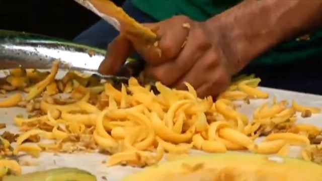 Crianza de iguanas genera 23 mil ejemplares al año en Chiapas | Noticias de Chiapas смотреть онлайн