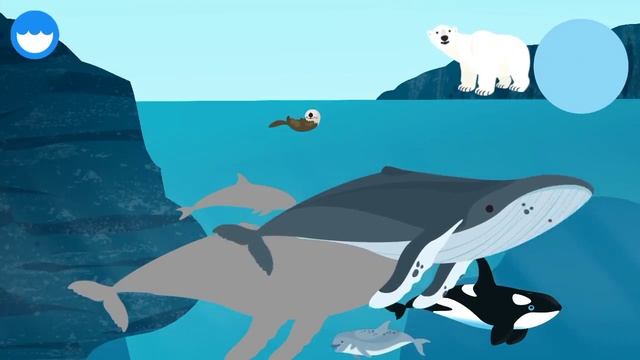 MarcoPolo Ocean - Educational App For Kids - Gameplay Video