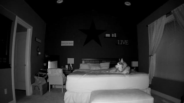 Night Vision Security Camera смотреть онлайн