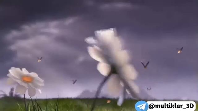 Ajdar makoni 1 смотреть онлайн