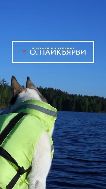 Лодки по цене самоката.. 😮💨😮💨😮💨 смотреть онлайн