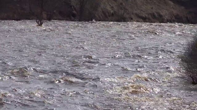 водопой 6 смотреть онлайн