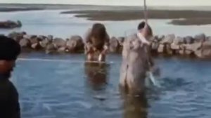Эскимос Тукту и десять тысяч рыб! Eskimo Tuktu 5