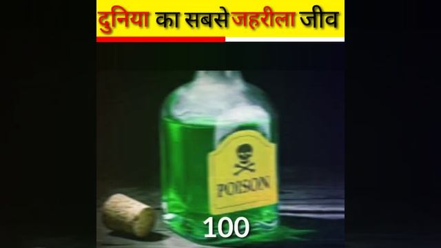 Poison dart frogs 🤑 दुनिया का सबसे जहरीला जीव🌍 । the factica land । rahul kashyap смотреть онлайн