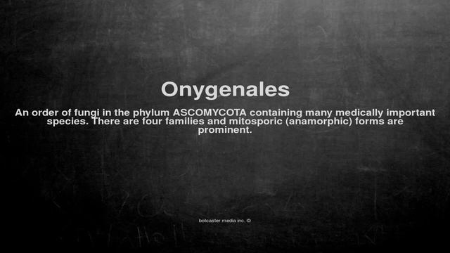 Medical Vocabulary: What Does Onygenales Mean