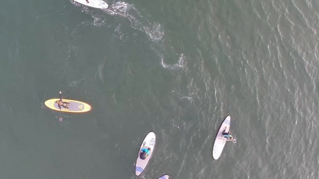 Sandy Bay SUP 28 05 15 смотреть онлайн