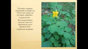 «Полезные и ядовитые растения «.